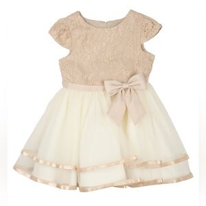Rare Editions
Baby Girls Lace Cap Sleeve Tiered Mesh Skirt Dress